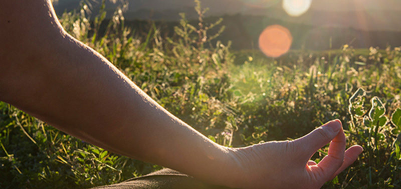 Meditating in a field