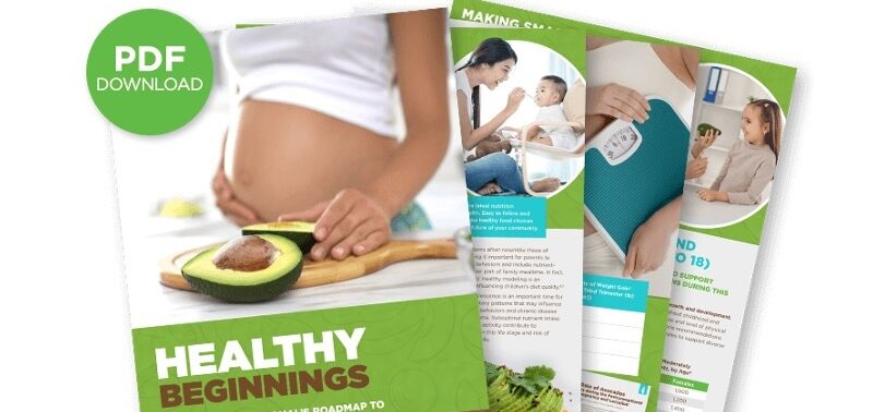 Overview of Healthy Beginnings Workbook