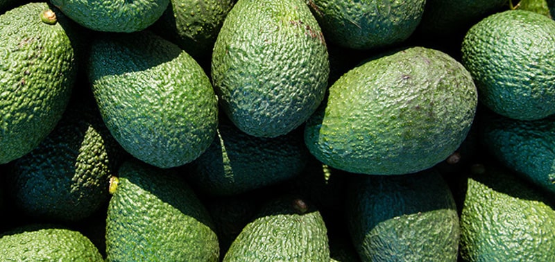 Ripe avocados