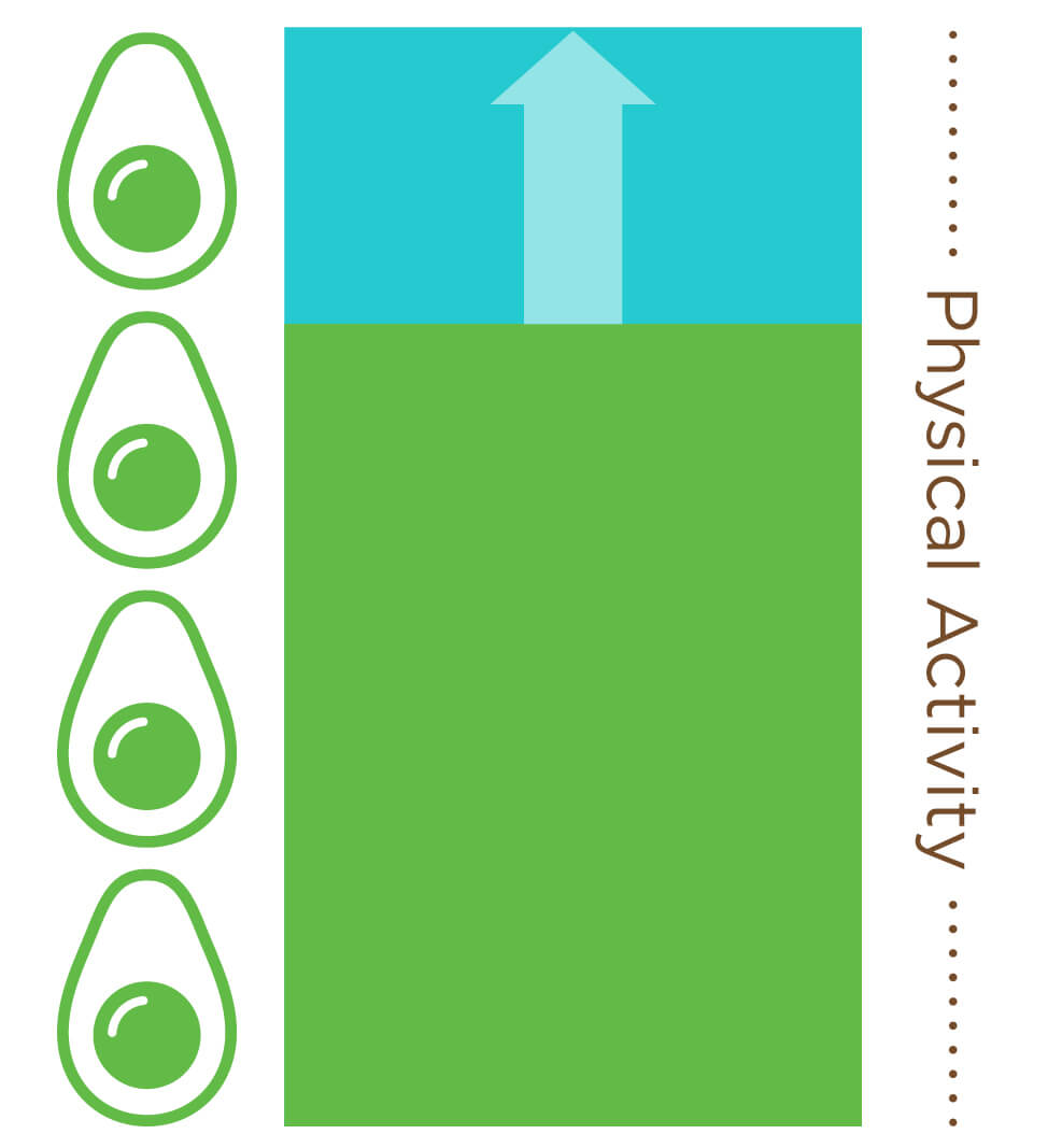 avocados increased physical activity in study on Hispanic families