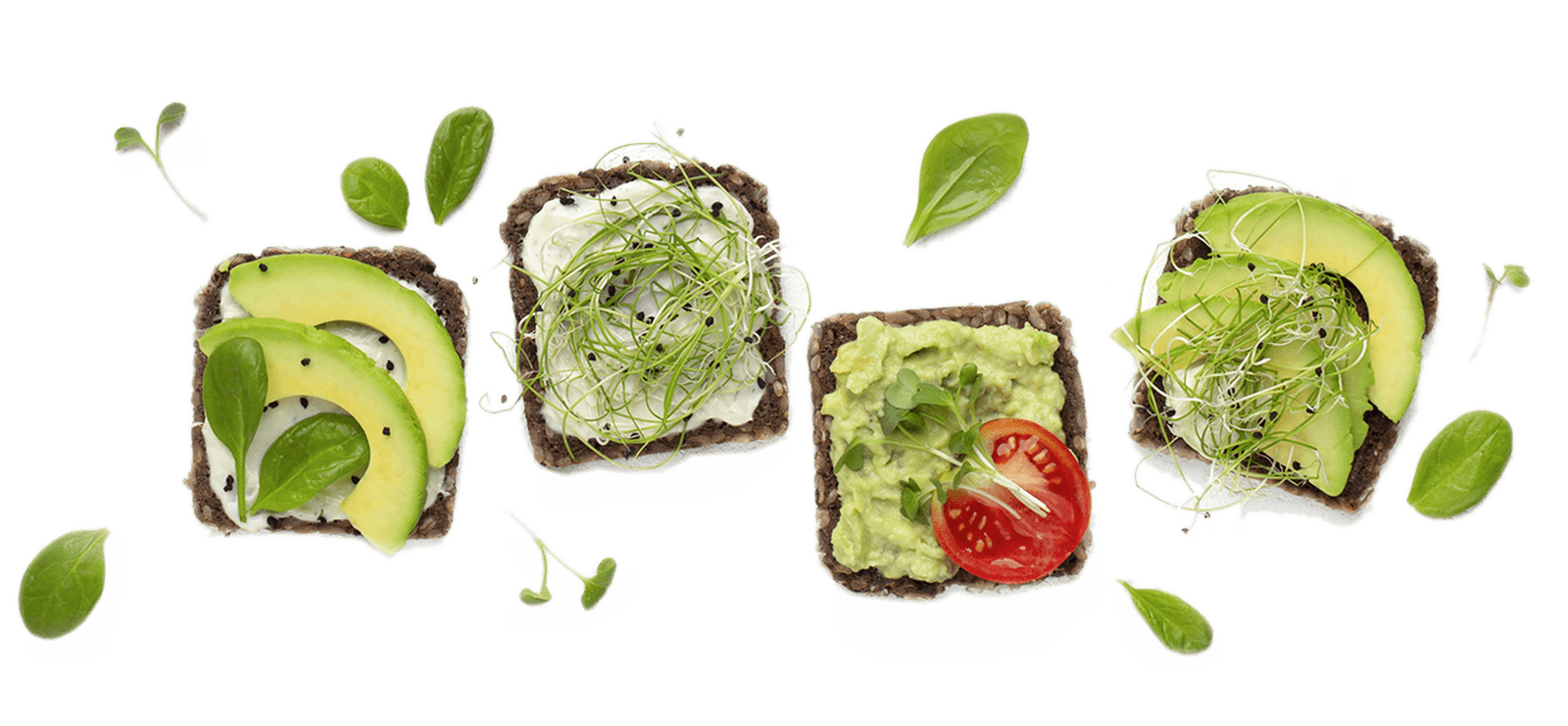 avocado toast