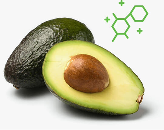 avocado with nutrient icon