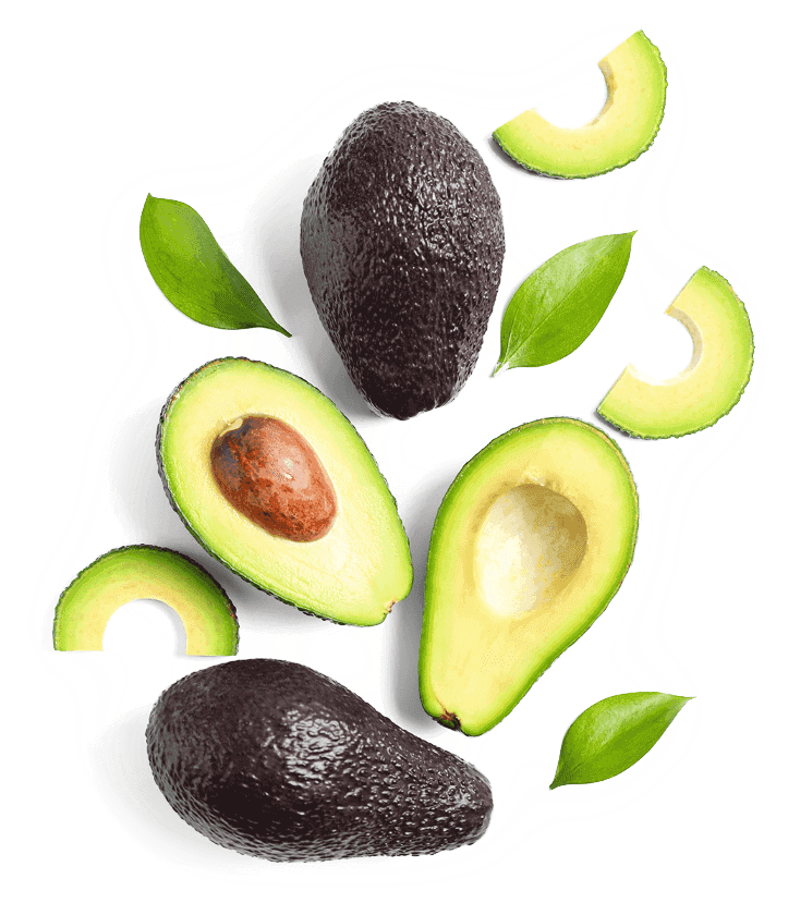 avocado halves and slices