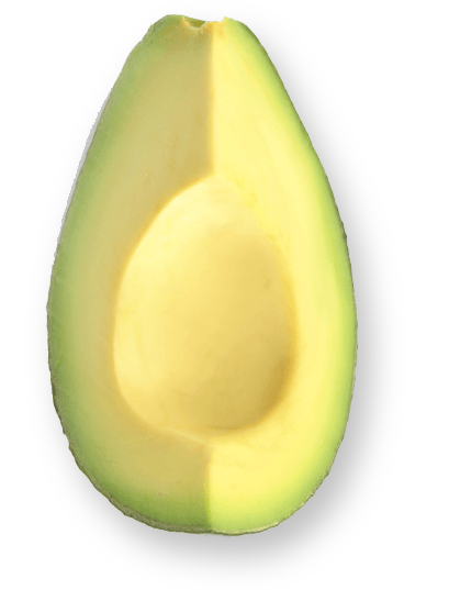avocado