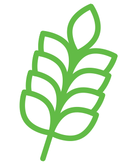 fiber icon