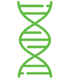 genetics icon