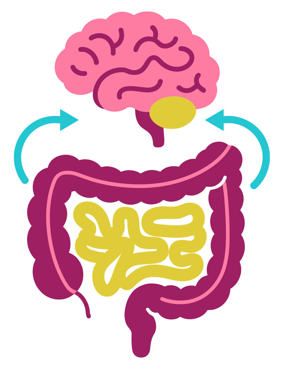gut-brain connection