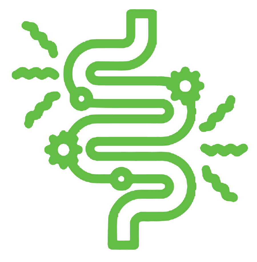 gut health icon