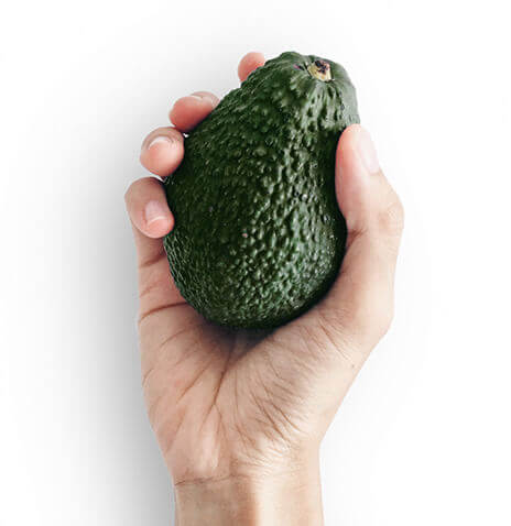 hand holding avocado