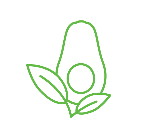 icon avocado leaf