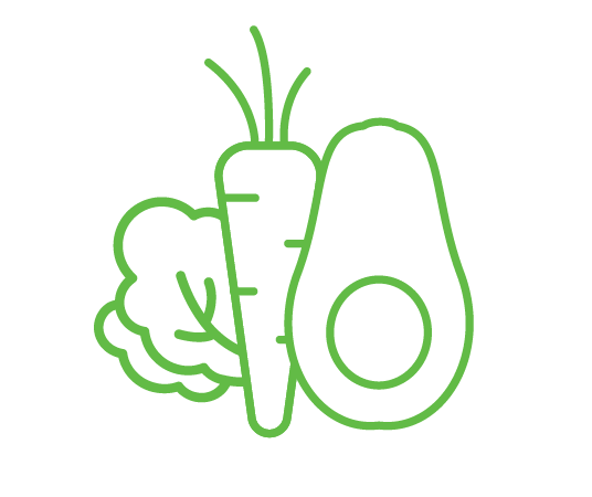 icon avocado veggies