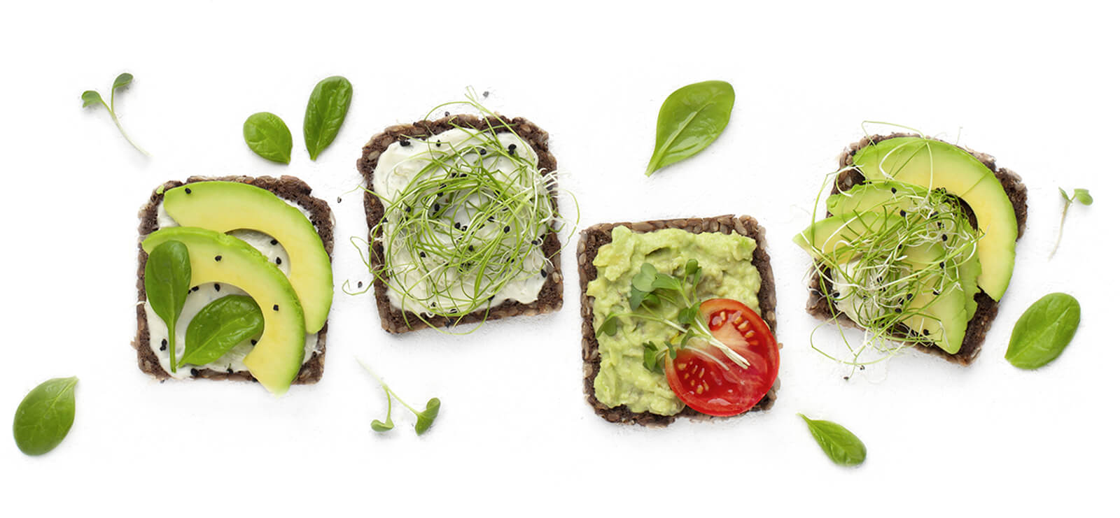 variety of avocado toasts