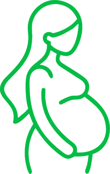 pregnancy icon