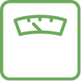 wm scale icon