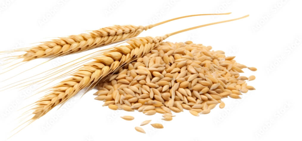 whole grains